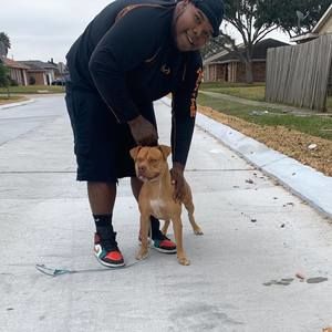 Meet your Posher, Darius